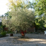 Le Mas de la Perouse , Ardeche, Villa Villa Jeanne, Vue Extérieure 10