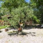 Extérieurs des Villas EFFINE et JEANNE  - Le Mas de la Pérouse 27