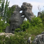 Bois de Paiolive, Ardèche, à découvrir