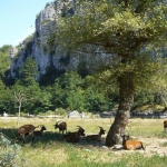 Vieil Audon, Ardèche